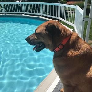 Meet your Posher, Cheryl